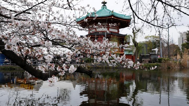 Jepang - altourindonesia.com